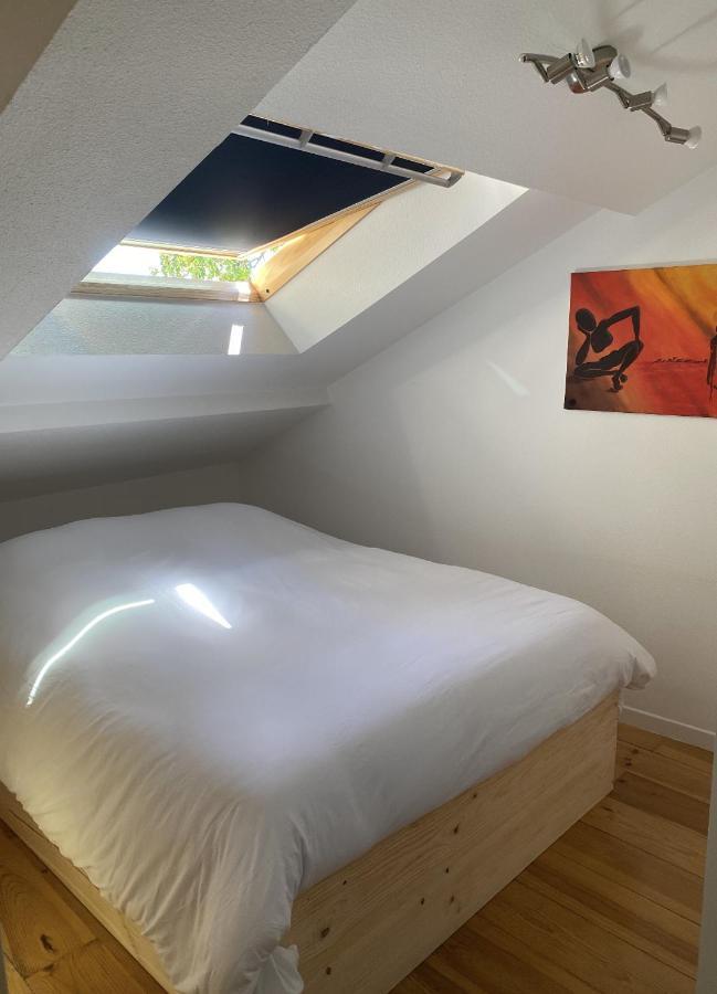 T3 Duplex6 Hyper-Centre Climatise Lägenhet Albi Exteriör bild